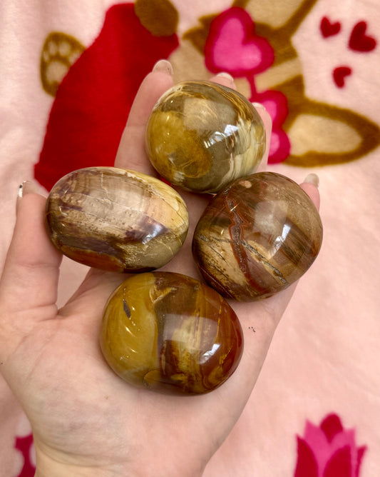 Petrified wood palm stones