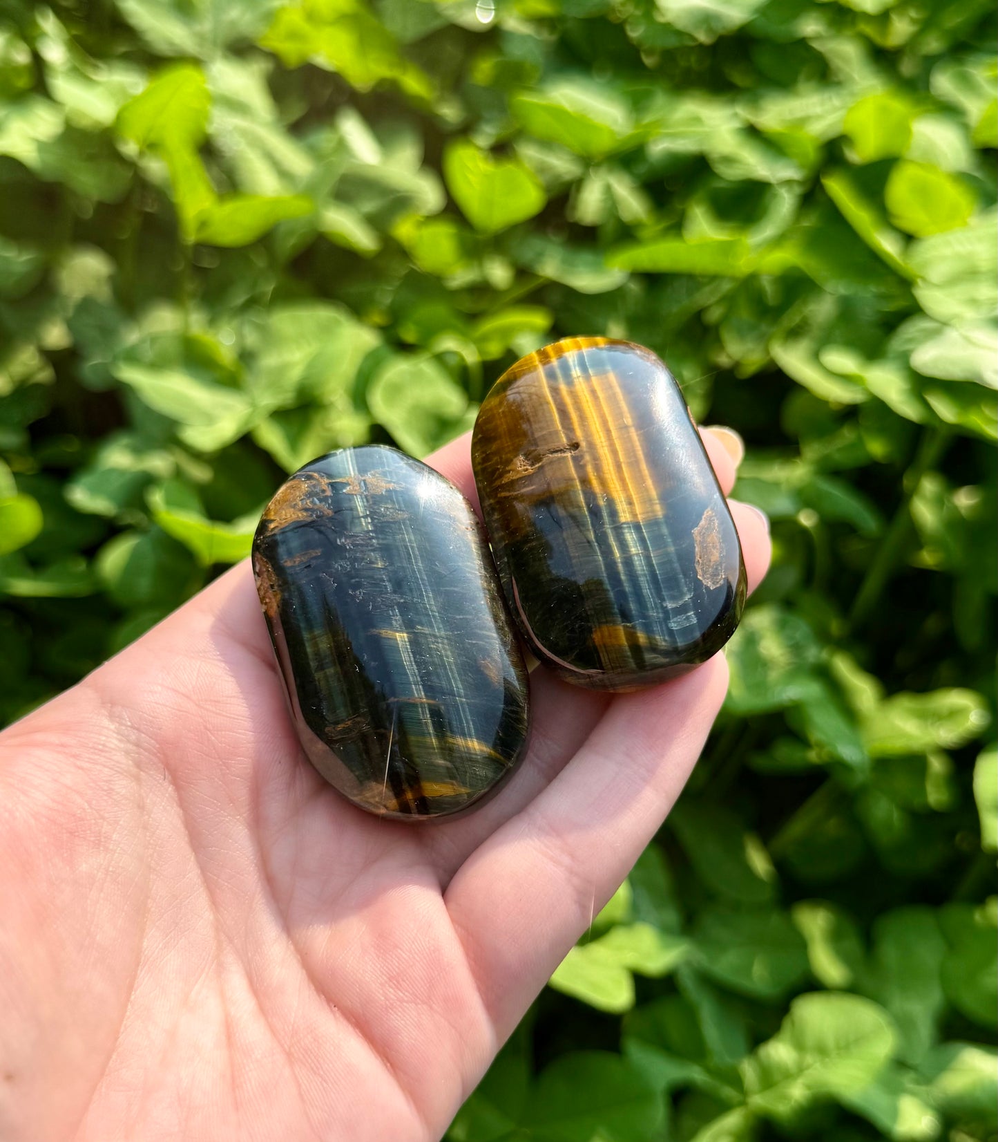 Blue yellow tigers eye palm stones