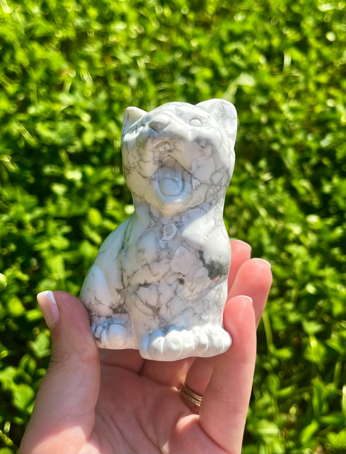 Yawning cat carving