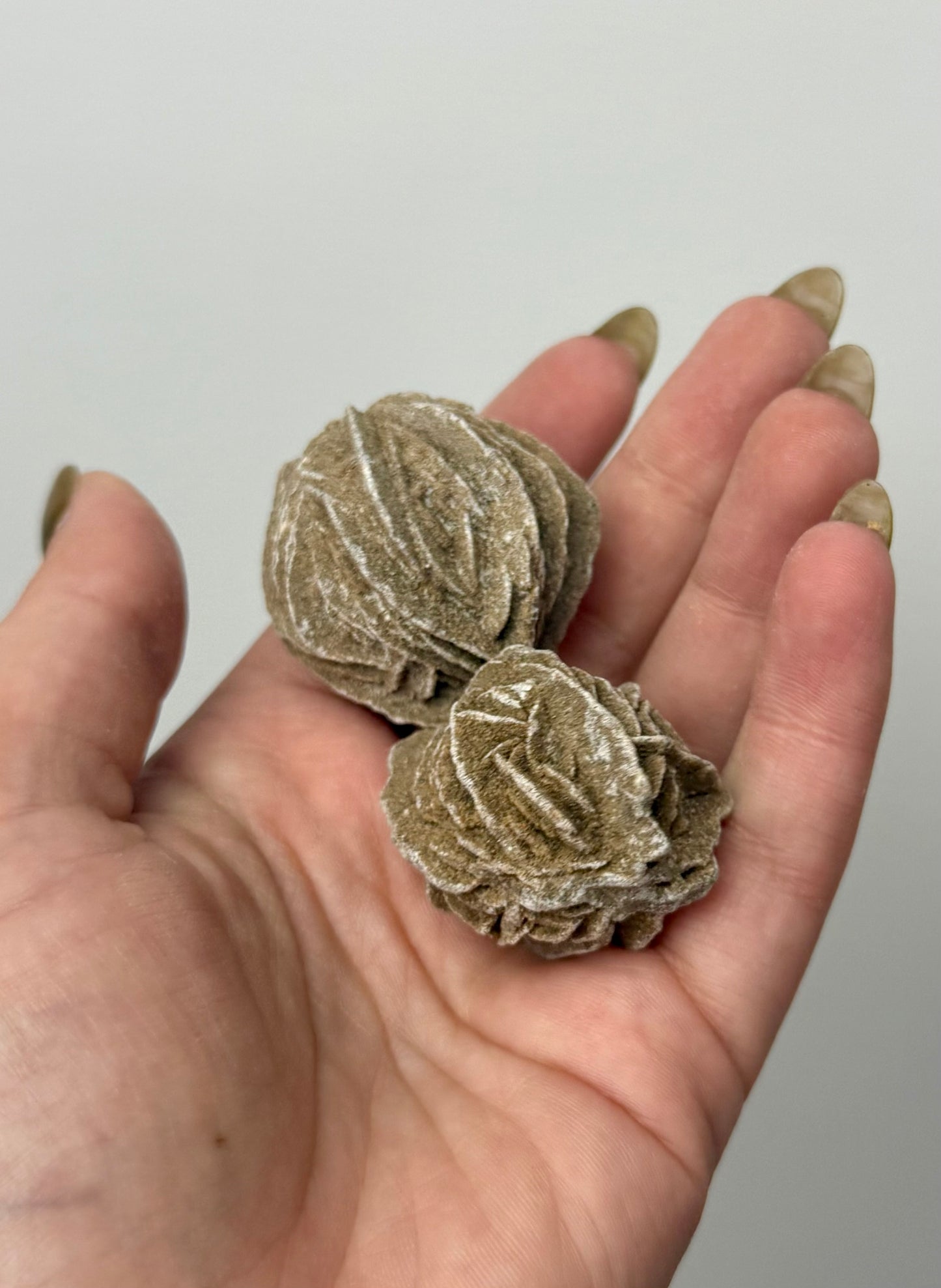 Desert rose specimens