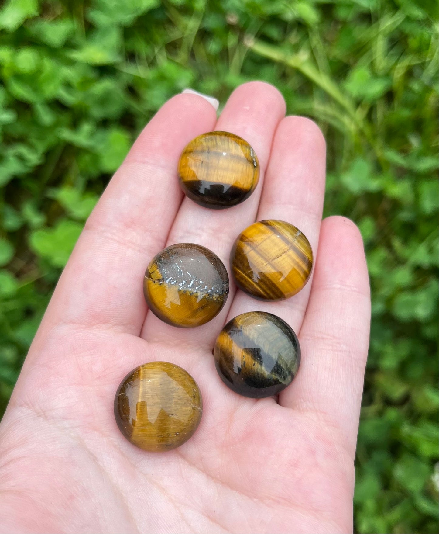 Tigers eye cabochons ￼￼