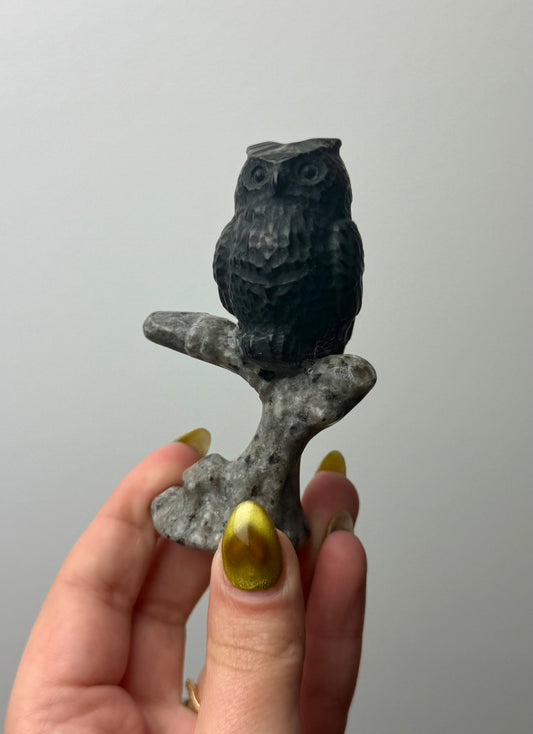 Owl carvings