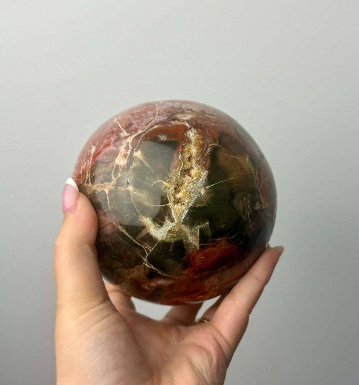 Petrified wood sphere
