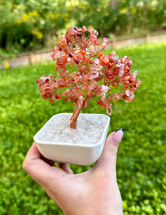 Carnelian crystal tree
