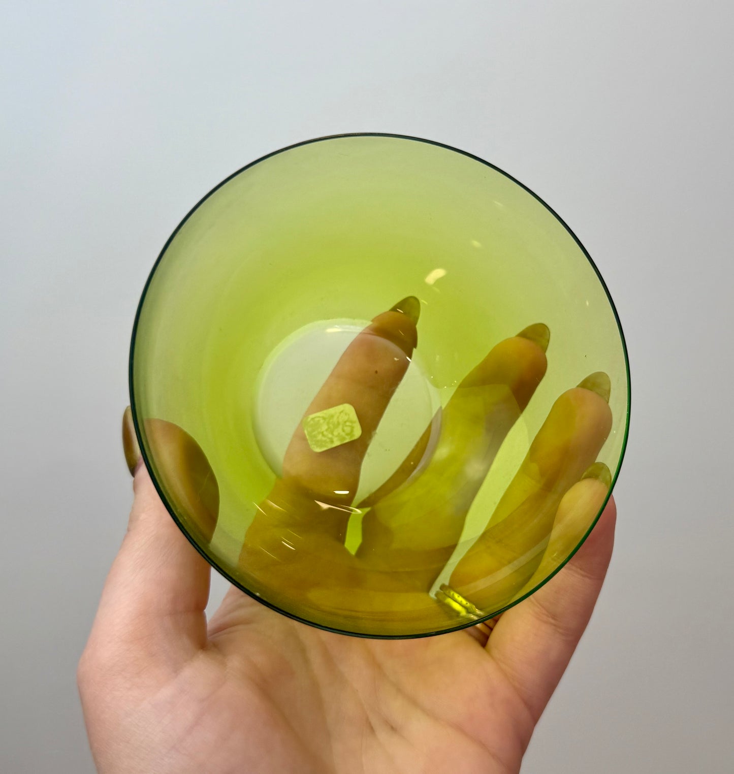 Glass bowl thrifted find