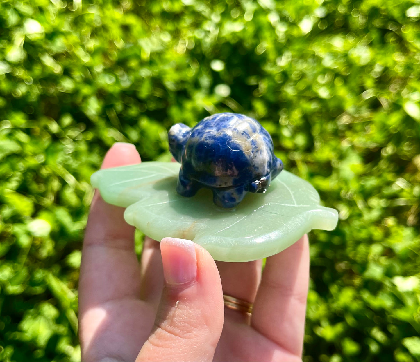 Turtle on a leaf carving