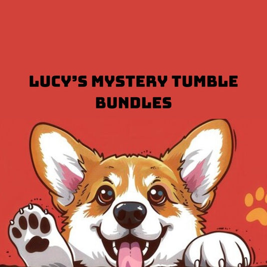 Lucy’s mystery tumble bundle